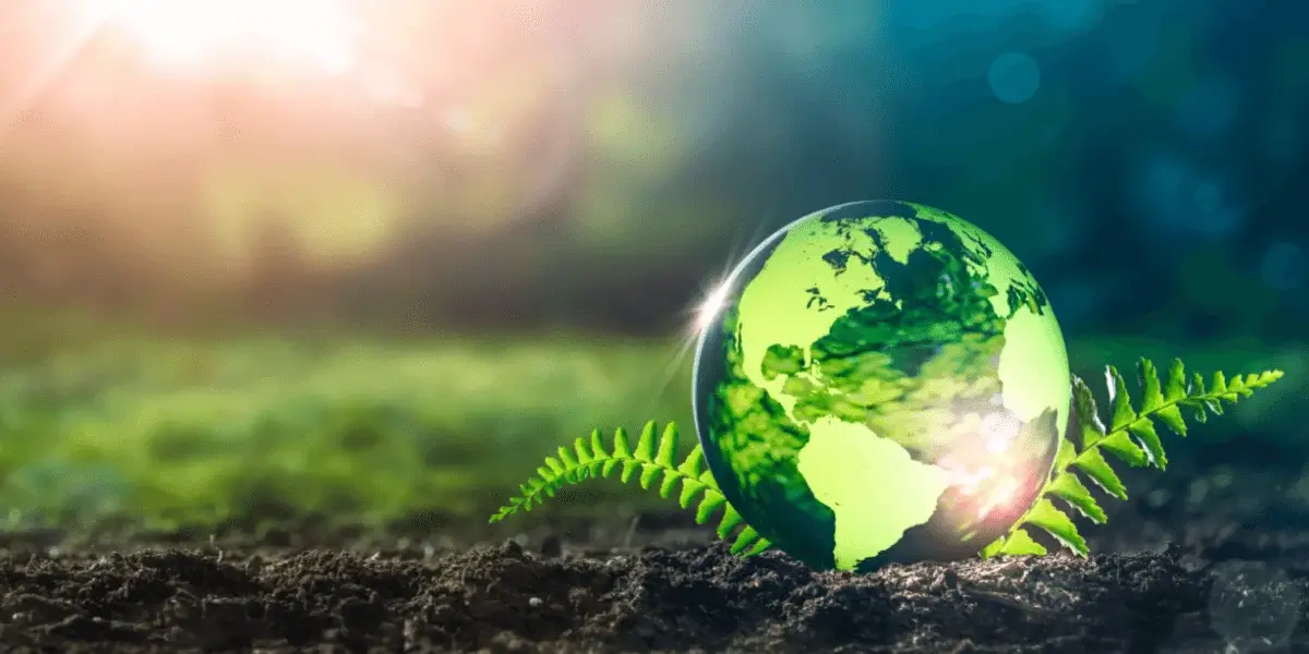 ÇED (Çevresel Etki Değerlendirmesi) Raporu Nedir? | Mükyen Hukuk